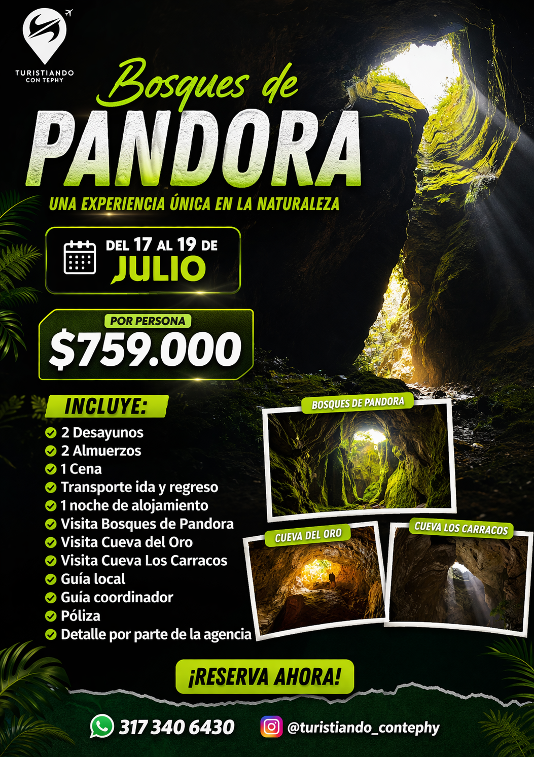 descubre el bosque de pandora