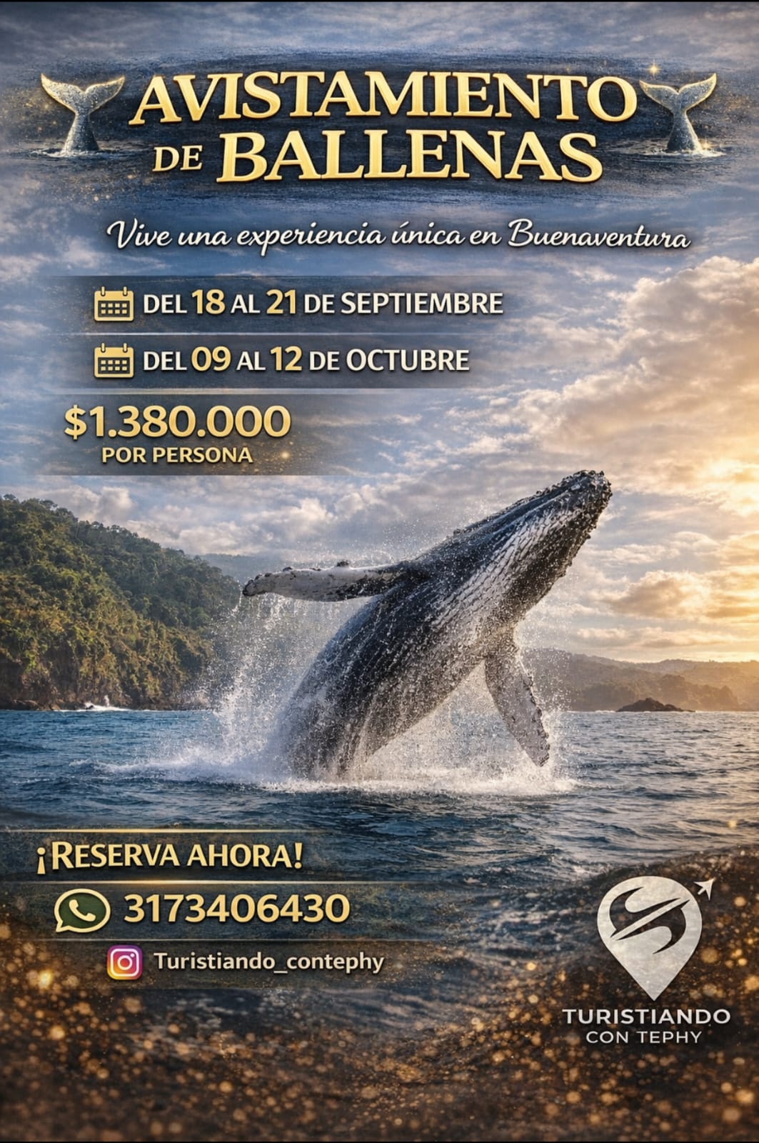 whatsapp image 2026 04 07 at 4.33.38 pm